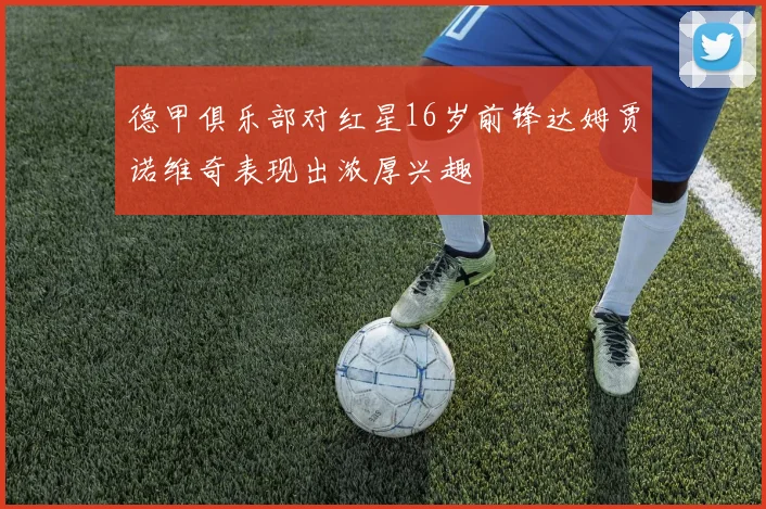德甲俱乐部对红星16岁前锋达姆贾诺维奇表现出浓厚兴趣