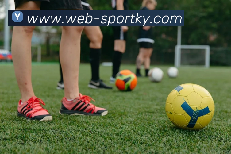 开云体育APP 封面图